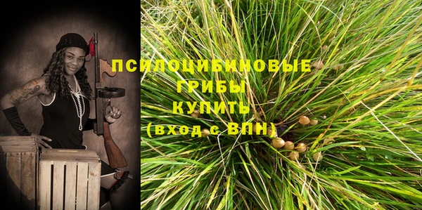 мдпв Балабаново