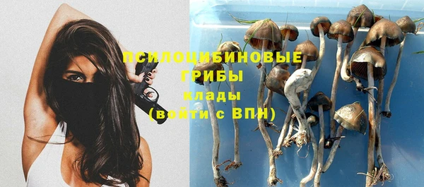 каннабис Строитель
