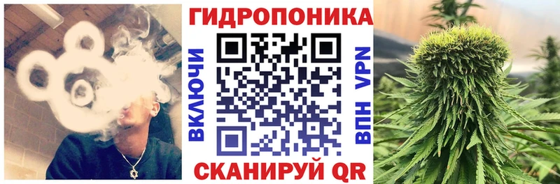 Бошки марихуана семена  сколько стоит  Болхов 